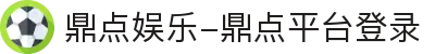 鼎点-鼎点(中国)有限公司-官方授权注册